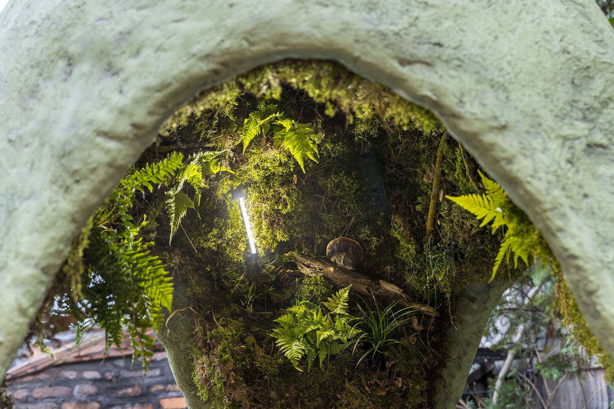 Blick in das Innere eines begrünten Helms