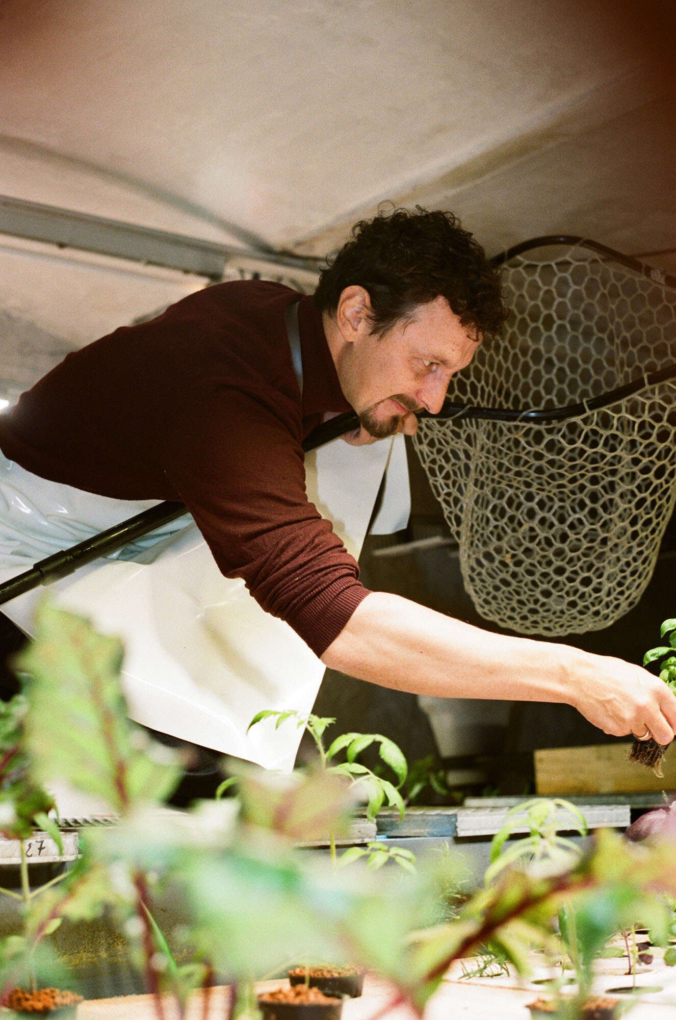 Ein Mann beugt sich über ein paar Pflanzen, in der einen Hand ein Fischernetz.